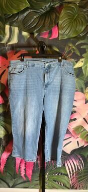 Gloria Vanderbilt size 20 capri